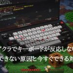 マイクラでキーボードが反応しない？